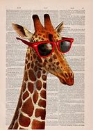 Image result for Giraffe Sunglasses