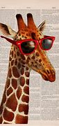 Image result for Giraffe Sunglasses