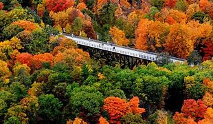 Image result for Fall Leaves