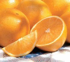 Image result for Florida Valencia Oranges