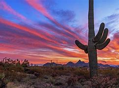 Image result for Arizona Sunset Landscape