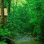 Image result for Nature Wallpaper From Samsung