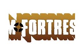 Image result for Team Fortress 2 Logo Transparent