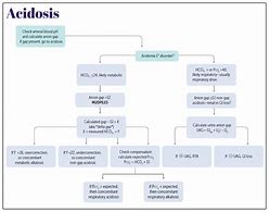 Image result for acidosus