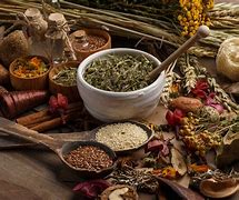 herbal medicines 的图像结果
