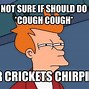 Image result for Crickets Chirping Funny Meme