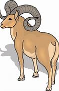 Image result for Ram Horns Clip Art