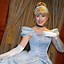 Image result for Princess Aurora Disney World