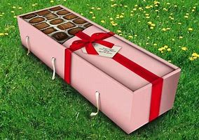 Image result for Designer Coffins