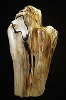 Image result for Petrified Wood Sculpture