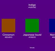 Image result for Indigo Color Shades