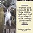 Image result for Funny Cat Thoughts