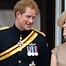 Image result for Prince Harry and Eugenie Photo