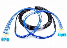 Image result for Fiber Optic Armored Patch Cord