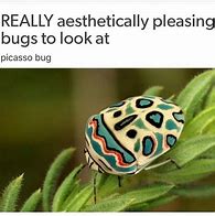 Image result for Cute Bug Meme