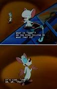 Image result for Pinky and Brain Song