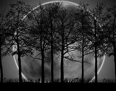 Image result for Animated Forest Wallpaper 4K