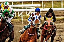 Image result for Old Horse Racing