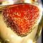 Image result for Bubbles of Champagne vs Bubbles of Beer