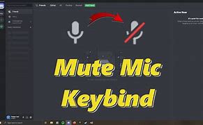 Image result for Mute Key