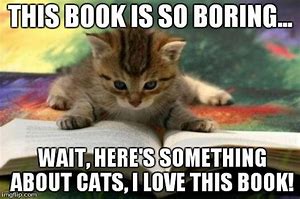 Image result for Funny Cat Memes Book