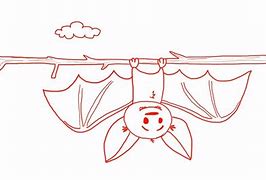 Image result for Upside Down Bat Drawing