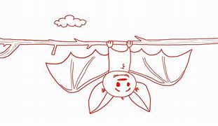 Image result for Hanging Bat Drawing Easy
