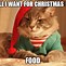 Image result for Christmas Cat Meme