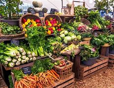 Image result for Local Farmers Markets Near Me Today