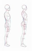 Image result for Human Side View Drawing