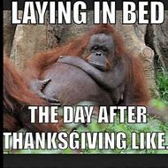 Image result for Me After Thanksgiving Meme