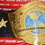 Image result for Real Wrestling Belts