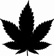 Image result for Black Marijuana Plant