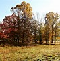 Image result for early autumn scenery