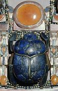 Image result for Egyptian Scarab Beetle Facts