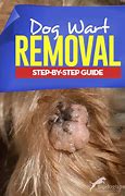 Image result for Warts On Dogs Treatment