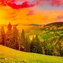 Image result for Colorful Forest Landscape