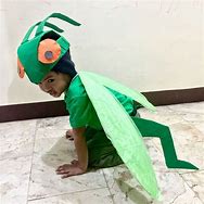 Image result for Cricket Costume