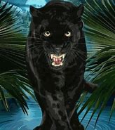 Image result for Black Panther Necklace Wallpaper