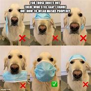 Image result for Funny Mask Animal Memes