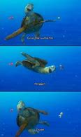 Image result for Finding Nemo Turtle Meme