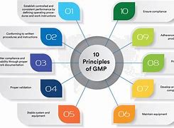 Image result for 10 Rules of GMP