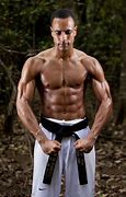 Image result for Physique of a Martial Artist