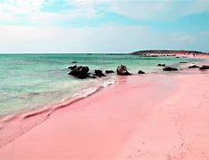 Image result for Pink Sand Beach Eleuthera Bahamas