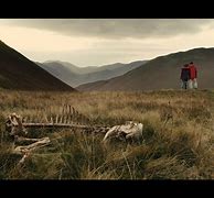 Image result for Alice Lowe Sightseers