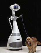 Image result for Domestic Robots