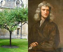 Результаты поиска изображений по запросу "Sir Isaac Newton Accomplishments"