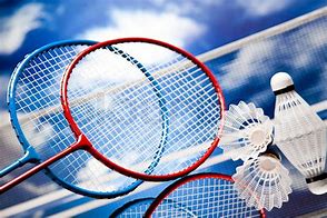 Image result for Badminton Theme Racket
