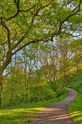 Image result for Four Falls Trail Brecon Beacons Pinterest