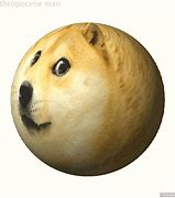 Image result for Roblox Doge Meme